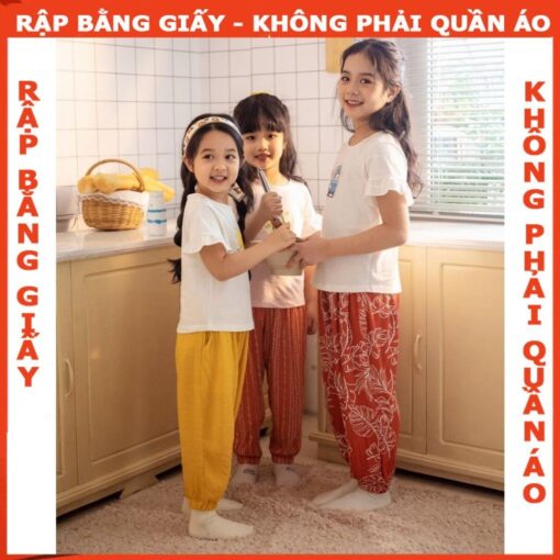 Rập giấy A0 R434 - bộ bo ống mẹ bé