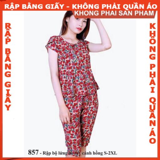 Rập giấy mã 857 - bộ lửng - Hình ảnh 2