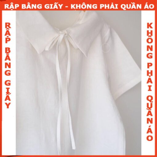 Rập giấy A0 mã 1577 - áo croptop - Hình ảnh 2