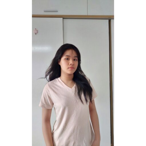 Rập giấy A0 mã 887 - áo thun cổ tim nữ - Hình ảnh 4