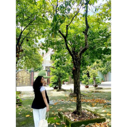 Rập giấy A0 mã 283 - áo dây ghi lê - Hình ảnh 6