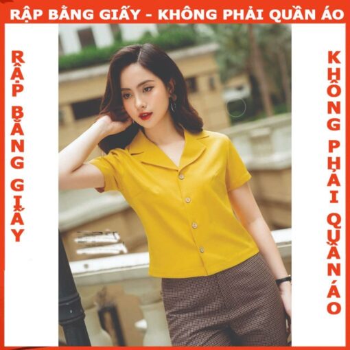 Rập giấy A0 áo cổ danton mã 1294