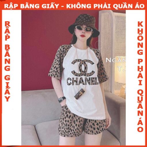 Rập giấy A0 mã 1180 - rập bộ thun tay ragland