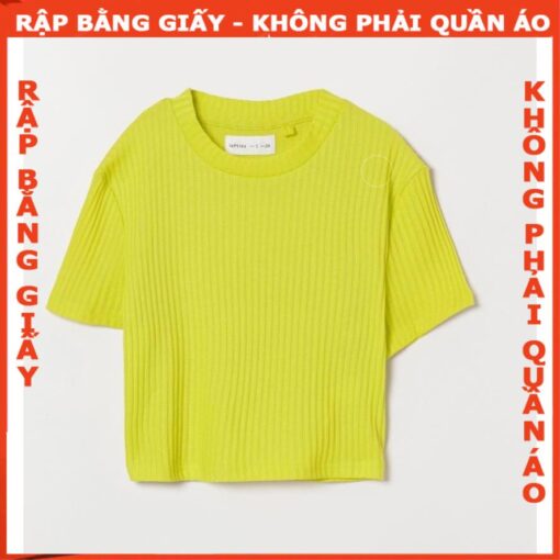 Rập giấy A0 áo croptop mã 1673