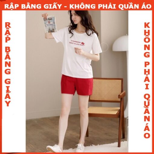 Rập giấy A0 mã 1386 - bộ thun