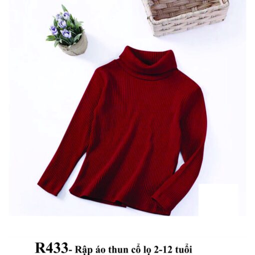 Rập giấy A0 áo thun cổ lọ mã R433 - Hình ảnh 2