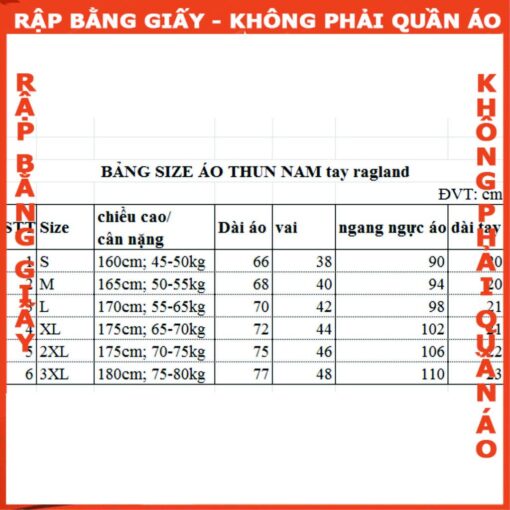 Rập giấy A0áo thun cổ tròn tay raplang mã B39 - Hình ảnh 2