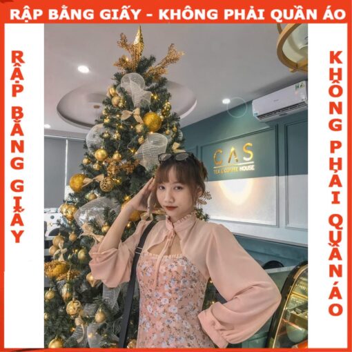 Rập đầm cổ chân 7 mảnh - mã 1099 - Hình ảnh 3