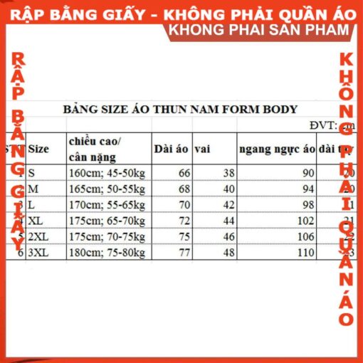 Rập giấy A0 áo thun body nam mã B31 - Hình ảnh 2