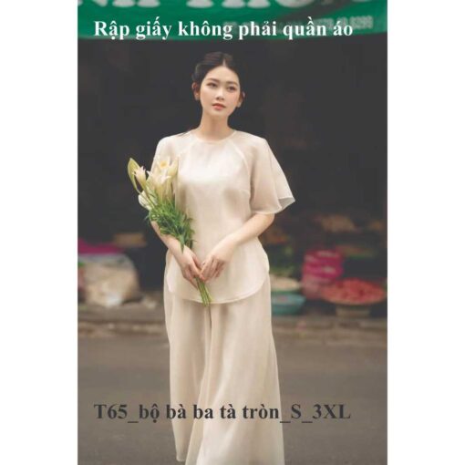 Rập giấy A0 bộ ragland cánh tiên mã T65 - Hình ảnh 2