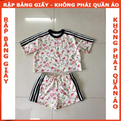 Rập giấy A0 mã 879- Rập bộ thun - Hình ảnh 5