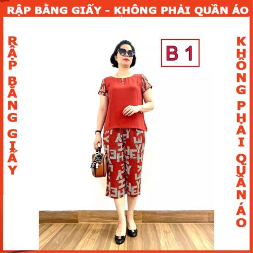 Rập  mã 1230 rập bộ thun trung niên - Hình ảnh 3