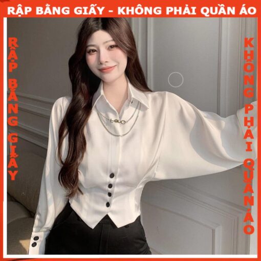 Rập giấy A0 áo sơ mi cánh dơi mã 77 - Hình ảnh 2