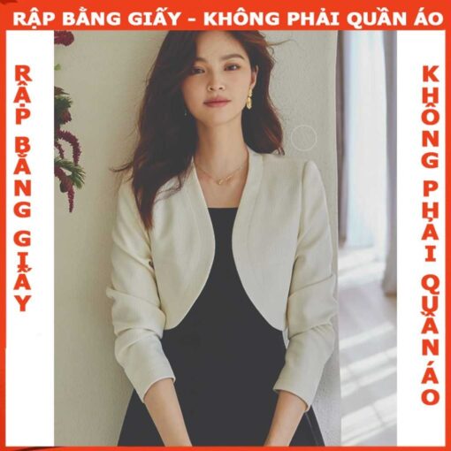 Rập giấy A0 mã 89 - rập áo khoác lửng