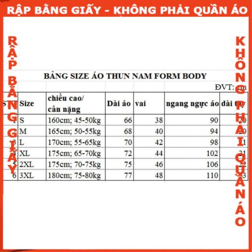 Rập giấy A0 áo thun mổ trụ mã B12 - Hình ảnh 2