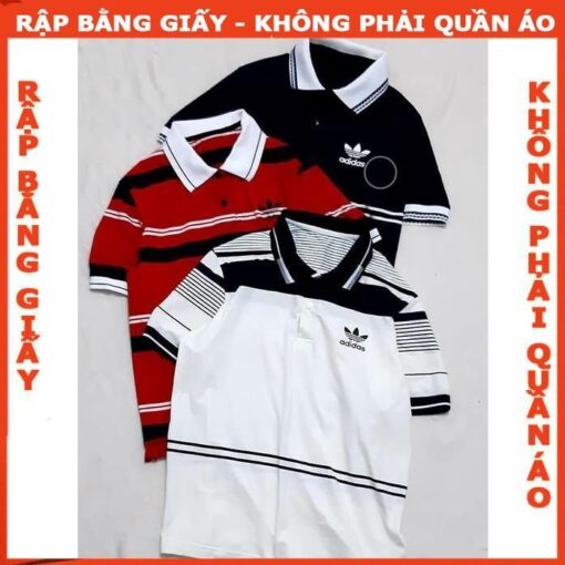 Rập giấy A0 áo thun mổ trụ mã B12