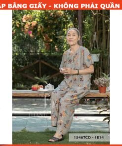 Rập giấy A0 bộ dứt đô mã 303