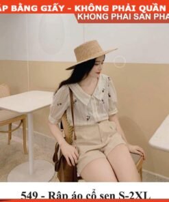 Rập giấy A0 mã 549 - rập áo cổ sen