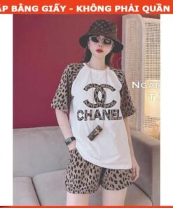 Rập giấy A0 mã 1180 - rập bộ thun tay ragland