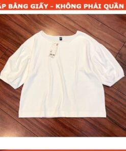 Rập giấy A0 mã 842 - áo thun tay phồng
