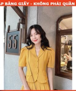 Rập giấy A0 mã 1051 - set chân váy xếp ly và áo cổ sam