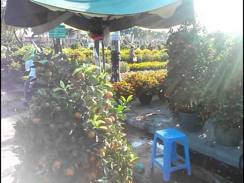 Cả nhà đi chợ hoa Quy Nhơn